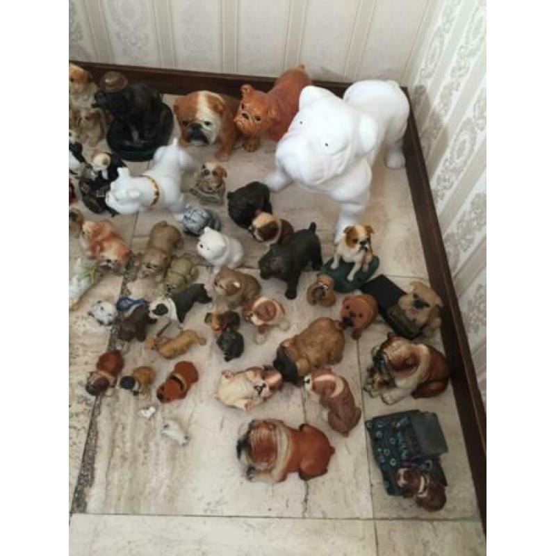 Grote Bulldogbeeldjes verzameling