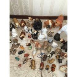Grote Bulldogbeeldjes verzameling