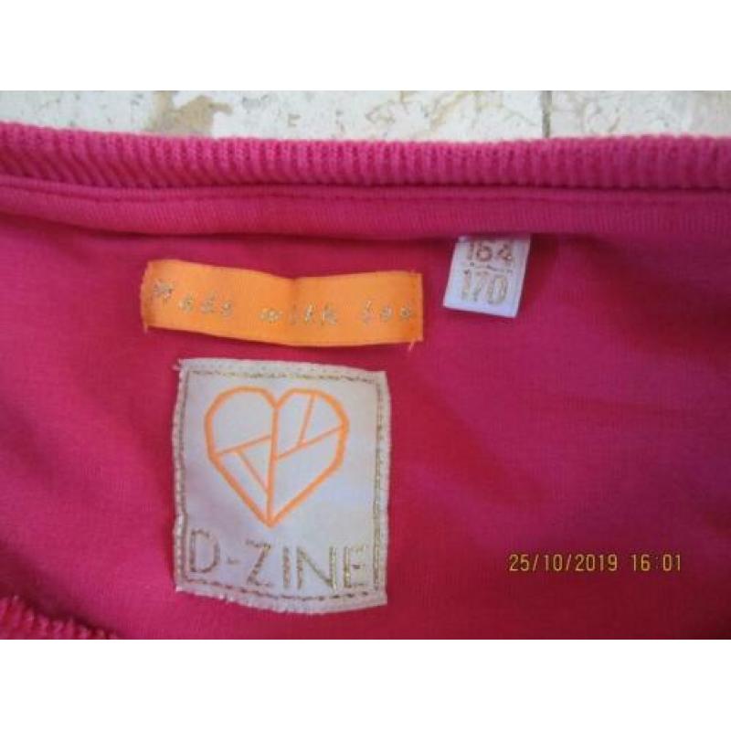 Mooie Roze Sweater D-zine,mt 164/170