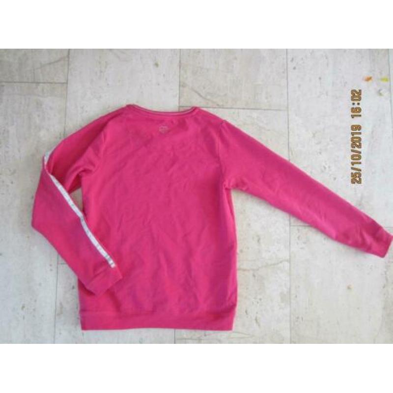 Mooie Roze Sweater D-zine,mt 164/170