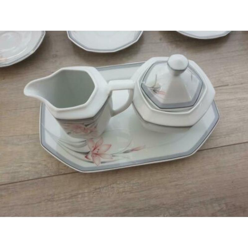 Mokken kopjes servies winterling markleuthem bavaria bloem