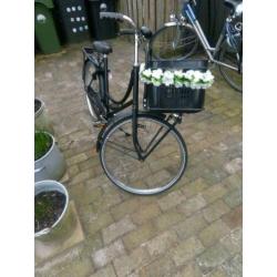 Gazelle 24inch weduwe met krat