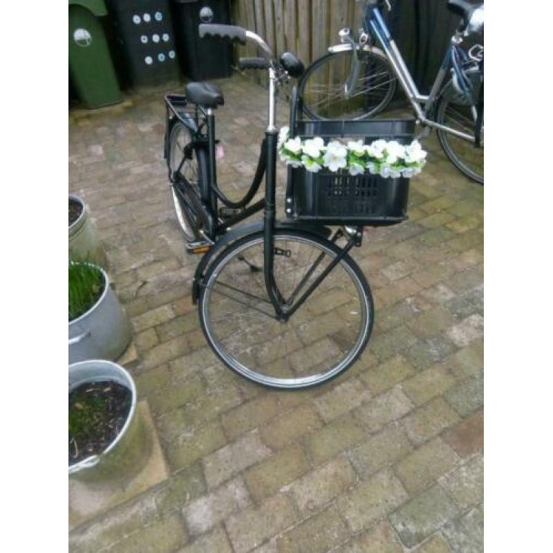 Gazelle 24inch weduwe met krat