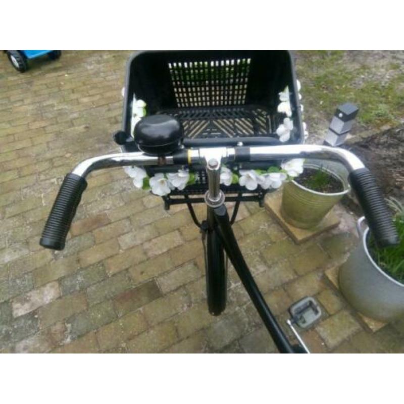 Gazelle 24inch weduwe met krat