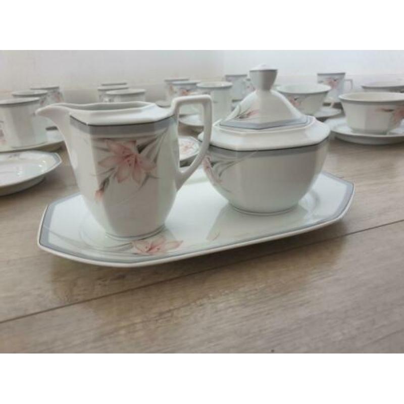 Mokken kopjes servies winterling markleuthem bavaria bloem