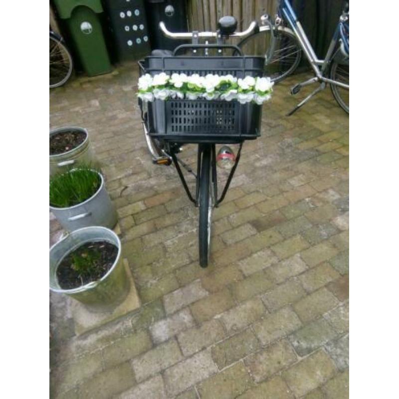 Gazelle 24inch weduwe met krat