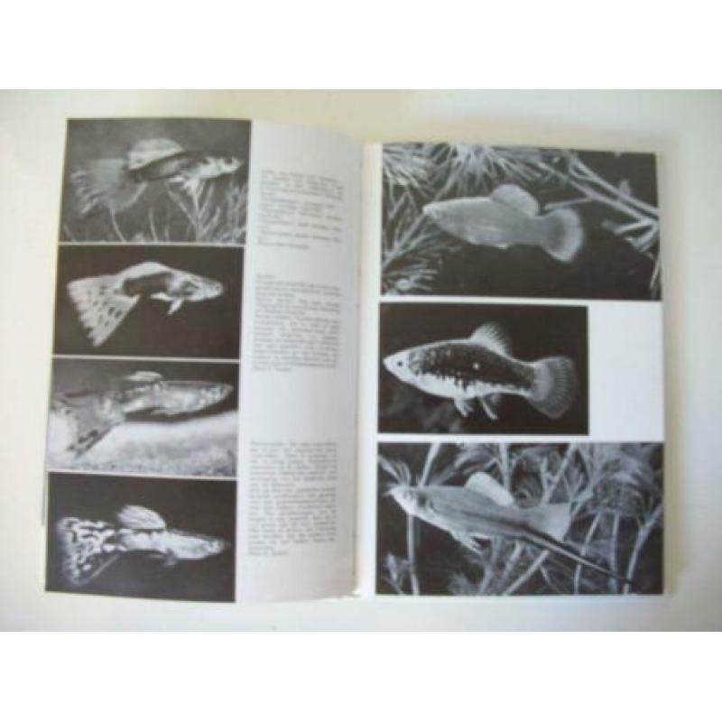 Het abc van het Aquarium - W. Ostermöller - Vissen - zgan