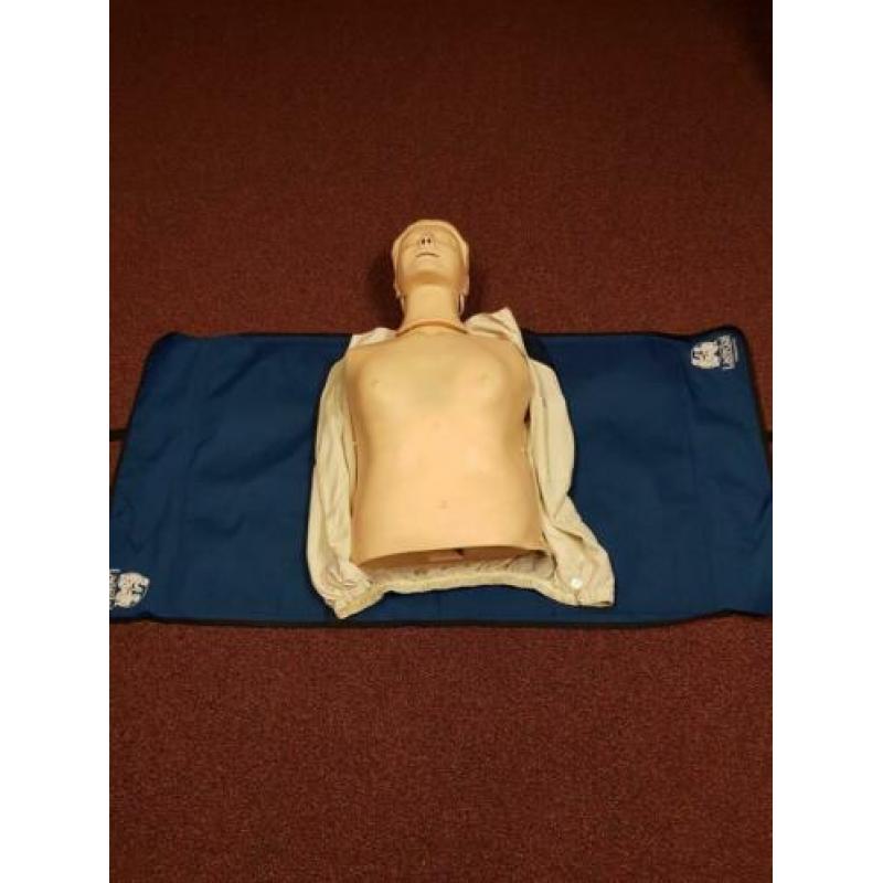 Hele nette Laerdal Anne torso met Skill-reporter