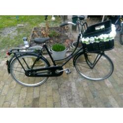Gazelle 24inch weduwe met krat