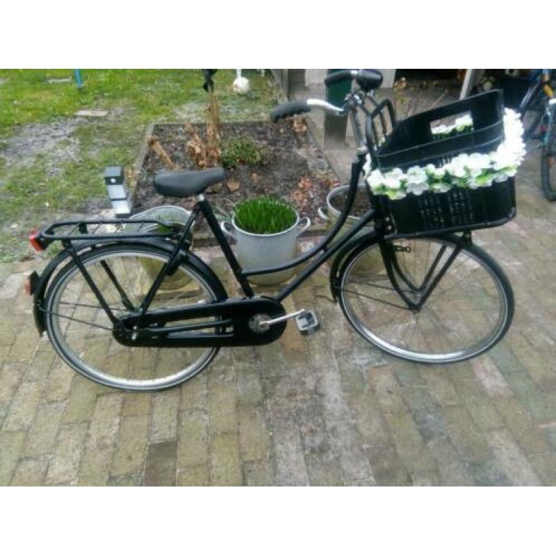 Gazelle 24inch weduwe met krat