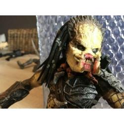 Predator 20