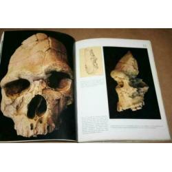 Boek over prehistorische vondsten / grotten v/d Pyreneeën !!