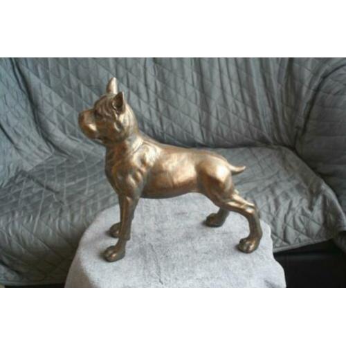 Mooie oud kunst Hond Beeld