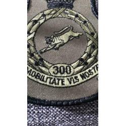Crown kroon badge 300 sqn low vis. Kleine versie