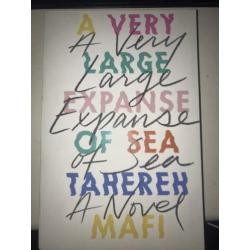A Very Large Expanse of Sea - Tahereh Mafi