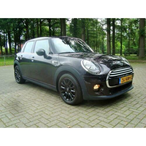 Mini Mini 1.5 Cooper Chili Serious Business panoramadak / le