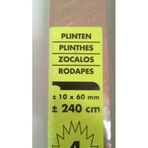 plinten