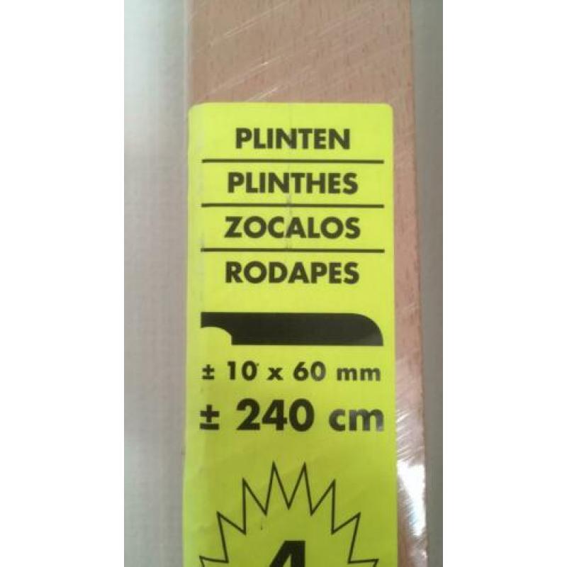 plinten
