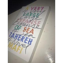 A Very Large Expanse of Sea - Tahereh Mafi