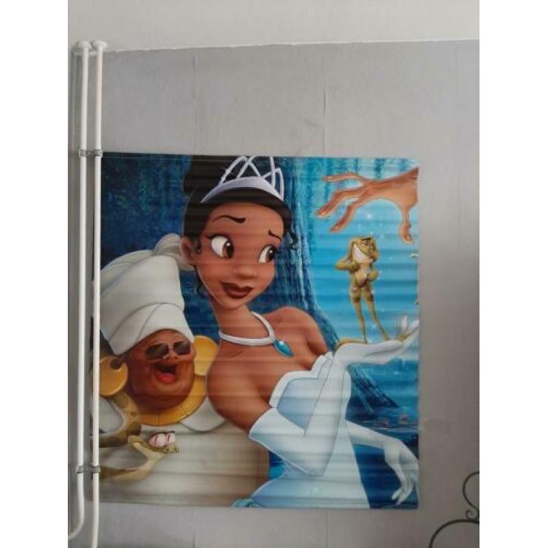 leuke posters voor kinder kamer   prinses poster / in cars p
