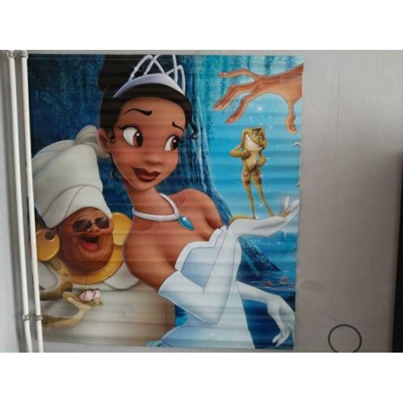 leuke posters voor kinder kamer   prinses poster / in cars p