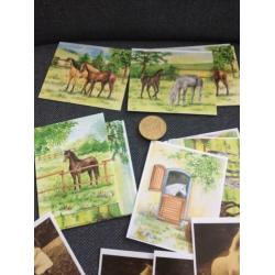 Aantal plaatjes kaartjes Paard hobby