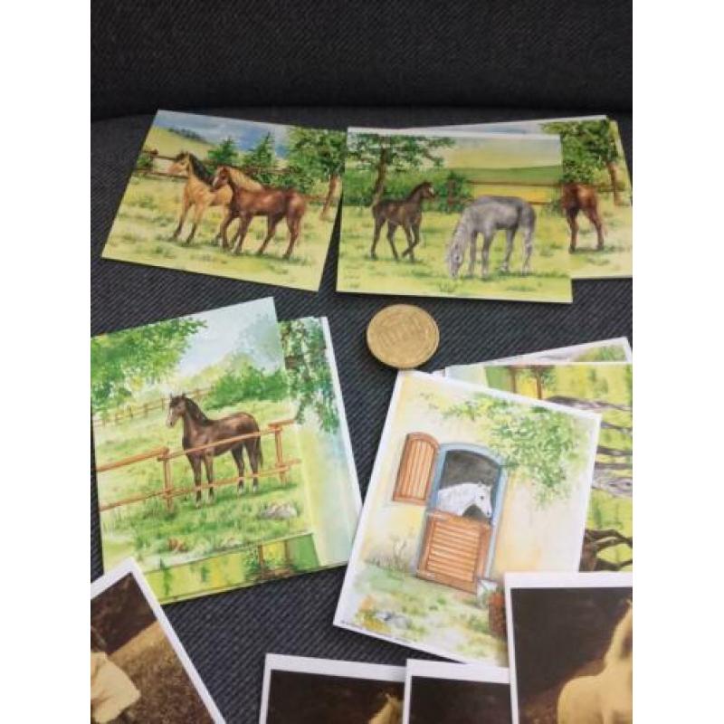 Aantal plaatjes kaartjes Paard hobby