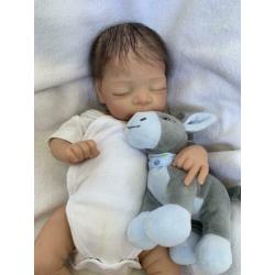 Reborn baby