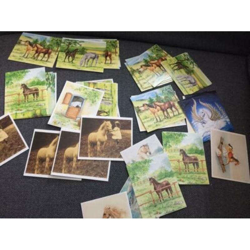 Aantal plaatjes kaartjes Paard hobby