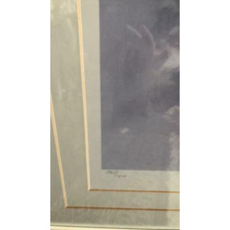 Pastelkleuren litho