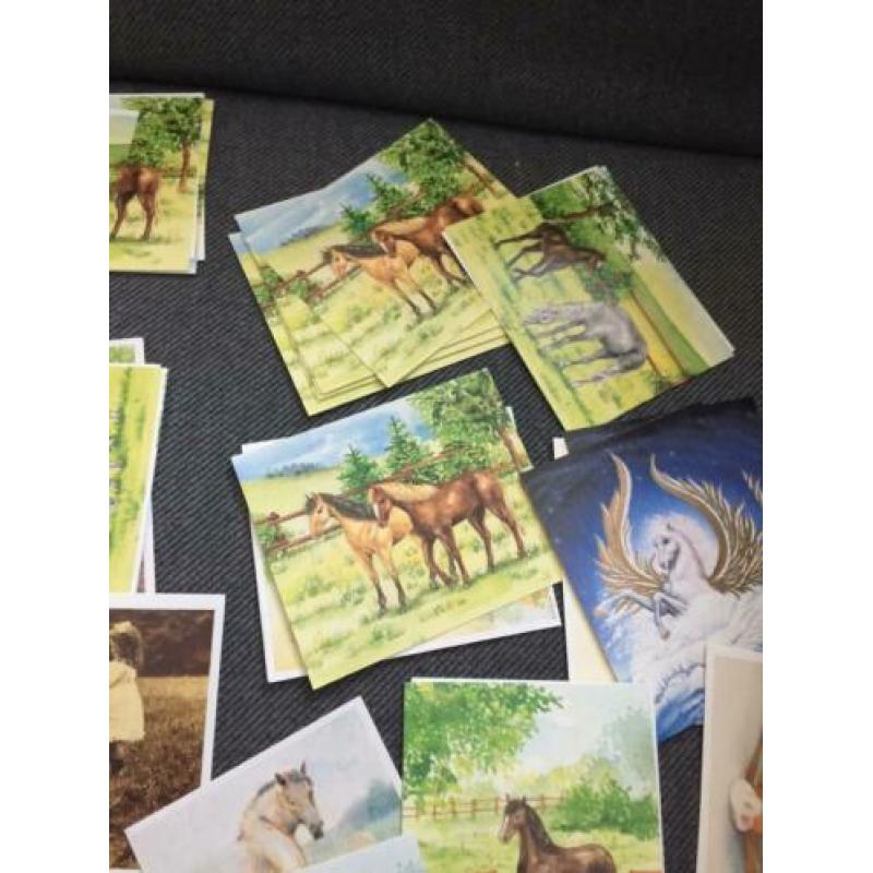 Aantal plaatjes kaartjes Paard hobby