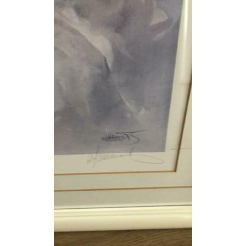 Pastelkleuren litho