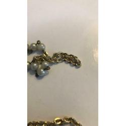 Goudkleurige bid ketting