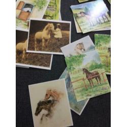 Aantal plaatjes kaartjes Paard hobby