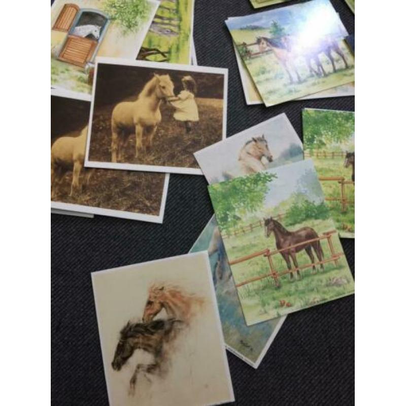 Aantal plaatjes kaartjes Paard hobby