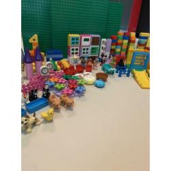 Duplo