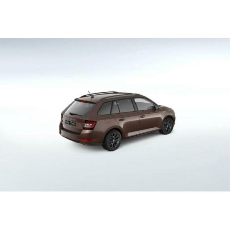 Skoda Fabia Combi 1.0 75pk Business Edition Wat kunnen ze da