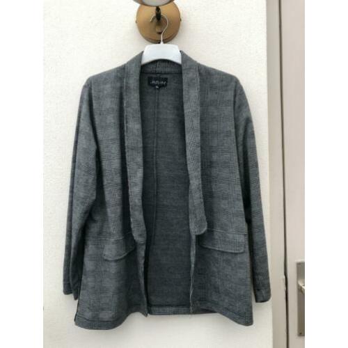 colbert grijs blazer jasje jas vest ruit
