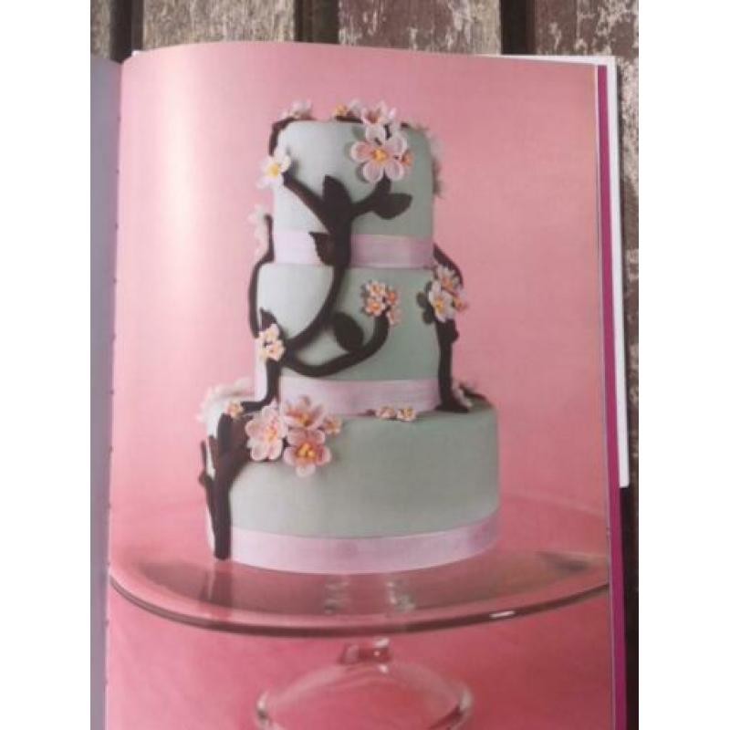 Taart Decoreren, Super Sweet Secrets, Nanette Booij