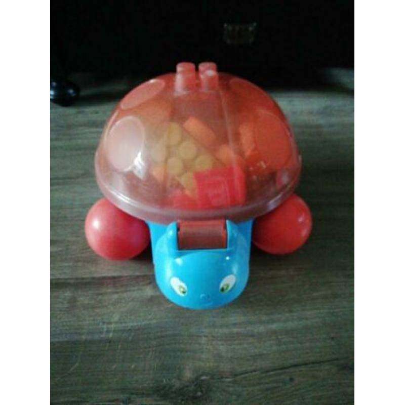 Mooie schildpad bak met blokken.
