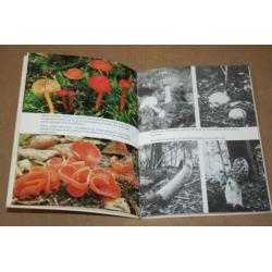Fraai boek over paddestoelen