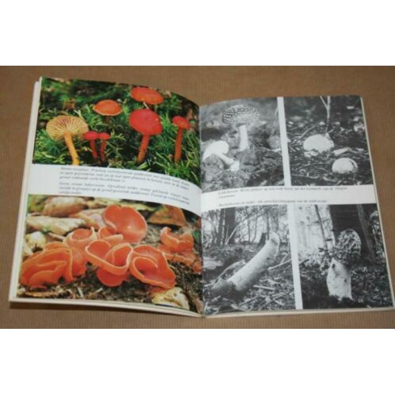 Fraai boek over paddestoelen