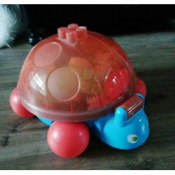 Mooie schildpad bak met blokken.