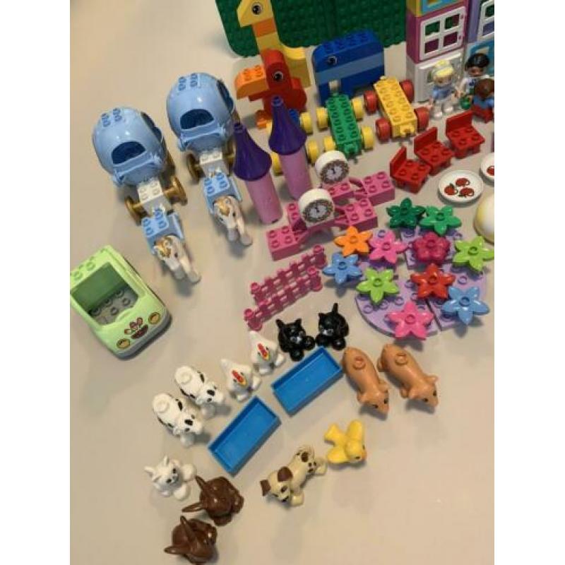 Duplo