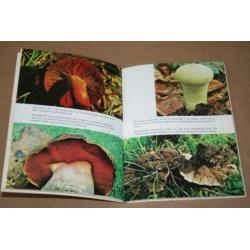 Fraai boek over paddestoelen
