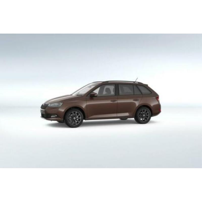 Skoda Fabia Combi 1.0 75pk Business Edition Wat kunnen ze da