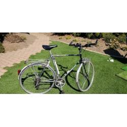Heren en Dames fiets