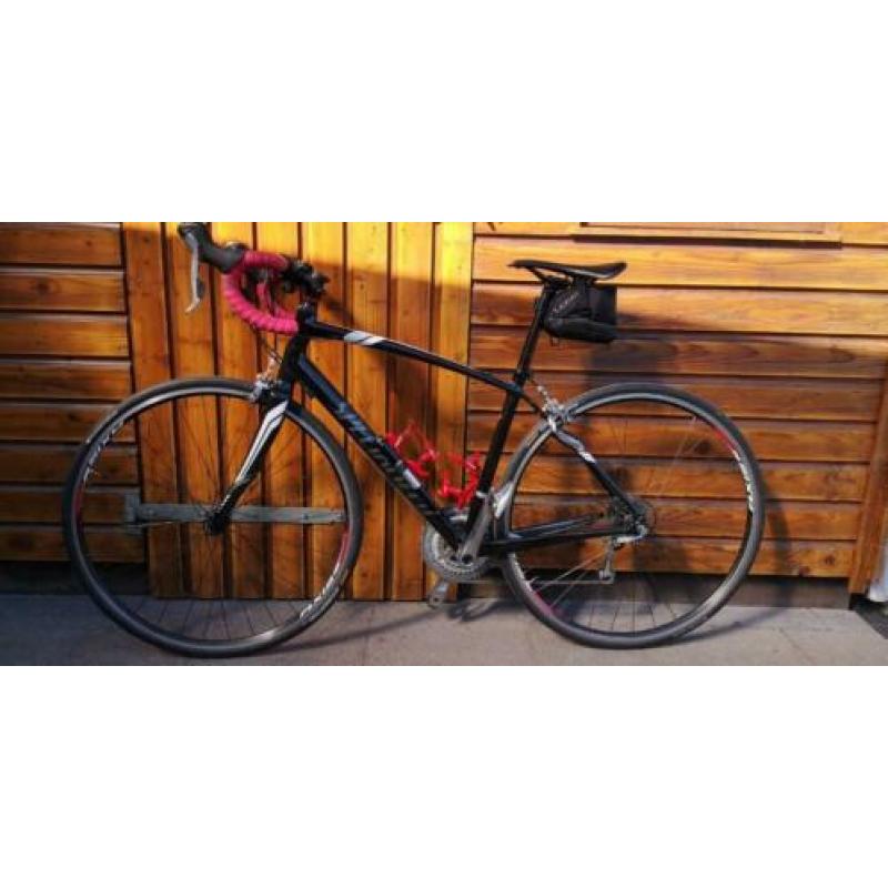 Specialized Dolce Elite Compact EQ