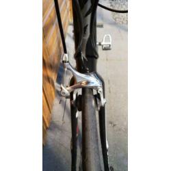 Specialized Dolce Elite Compact EQ