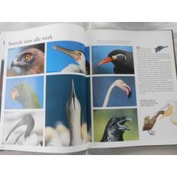 Vogels aan kinderen verteld - Gilles Martin